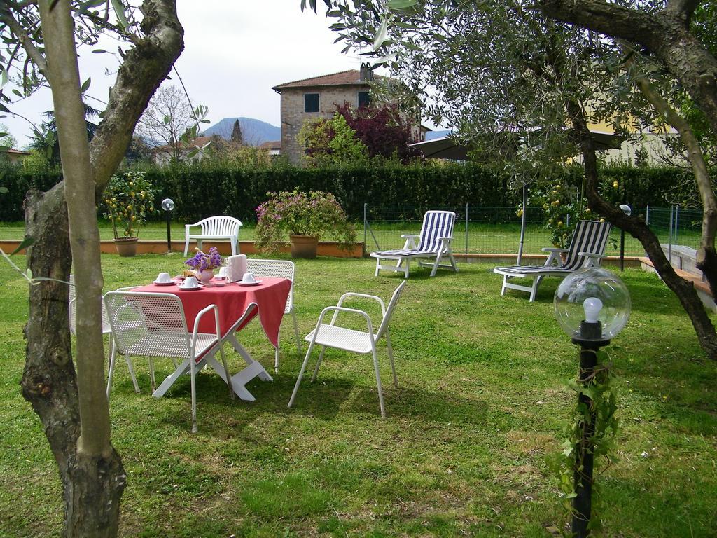Triolivo B&B Lucca Kültér fotó