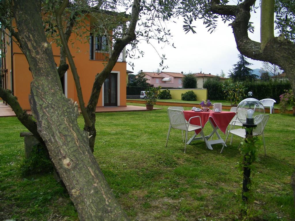 Triolivo B&B Lucca Kültér fotó