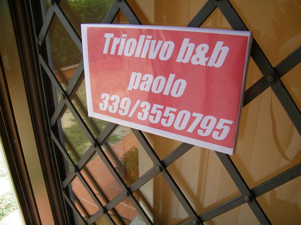 Triolivo B&B Lucca Kültér fotó